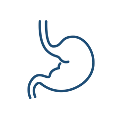 Collection image for: Digestive Health