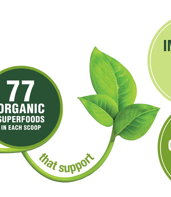 <h1><a href="https://usproducts.online/collections/health-wellness">Health & Wellness </a></h1>
